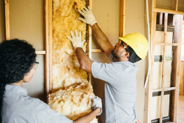 Best Attic Insulation Installation  in West Lealman, FL