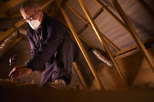 Best Insulation Removal  in West Lealman, FL